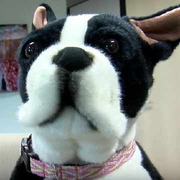 boston terrier stuffed animal walmart