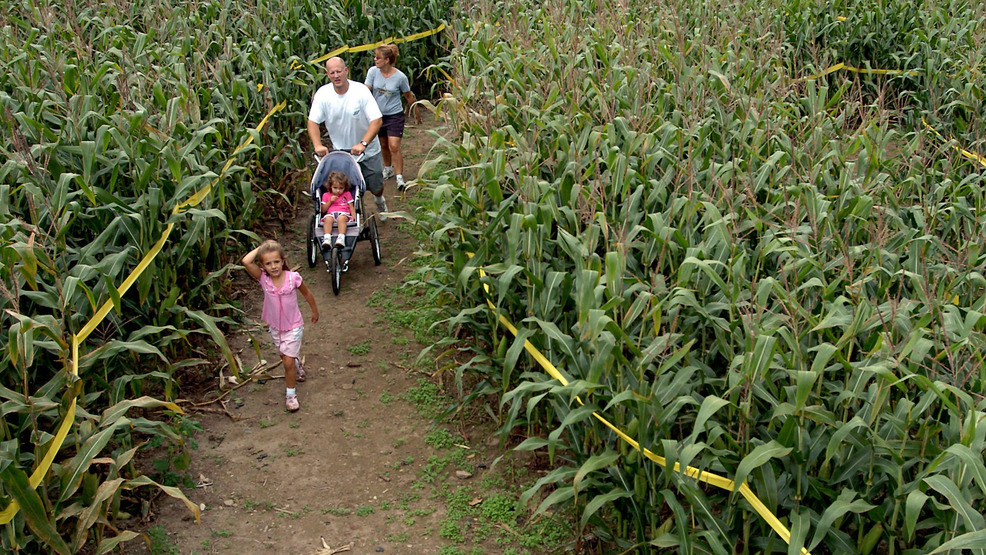 Where to find the best corn mazes in Maryland and Northern Virginia