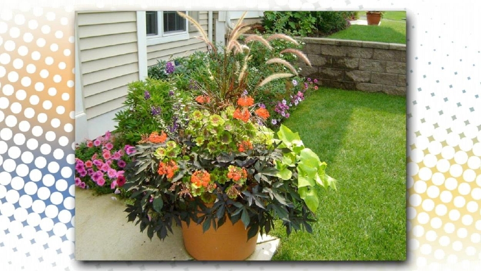 041912home.jpg_BIM.jpg