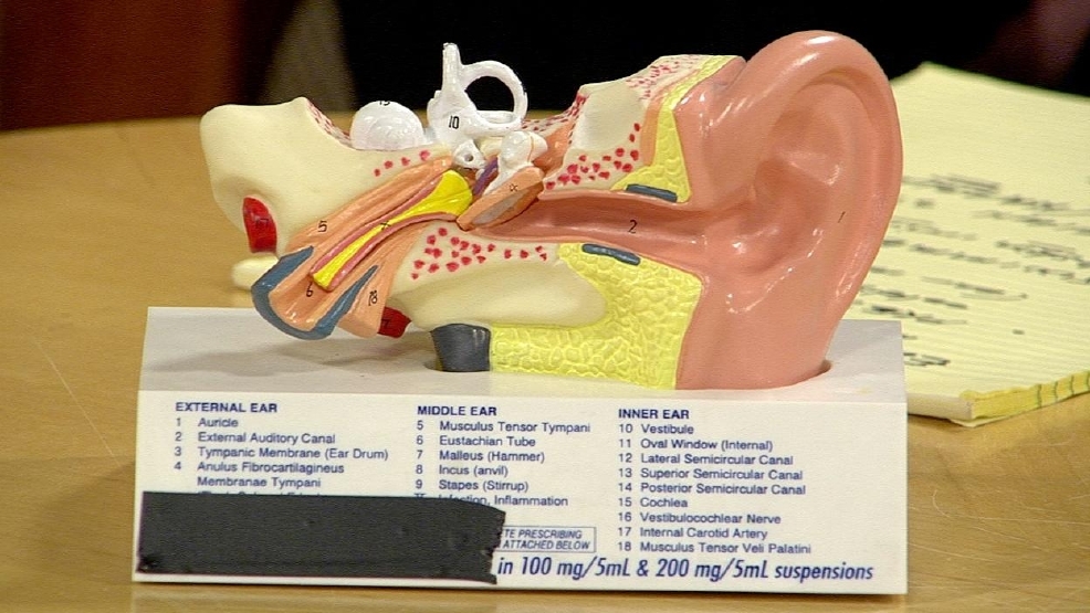 Ear5.jpg_BIM.jpg