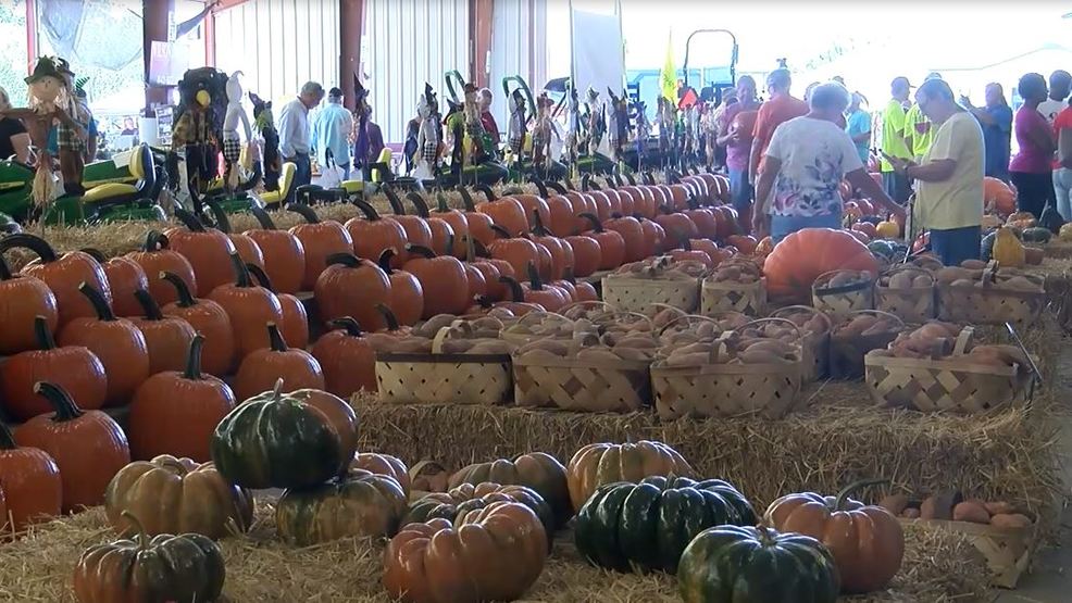 25th Annual Pee Dee Fall Plant and Flower Festival attracts hundreds of