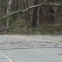 Strong storms bring down trees in Gorham and Standish