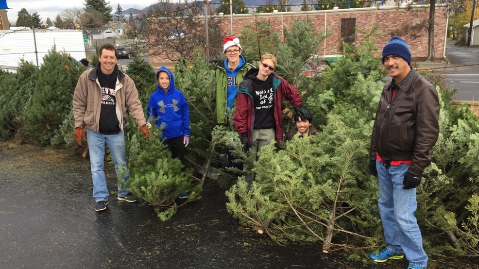 Scouts to sell Christmas trees Daily Tidings