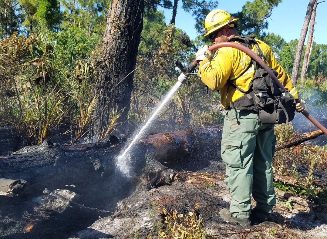 Crews contain wildfire in Fort Pierce preserve WTVX