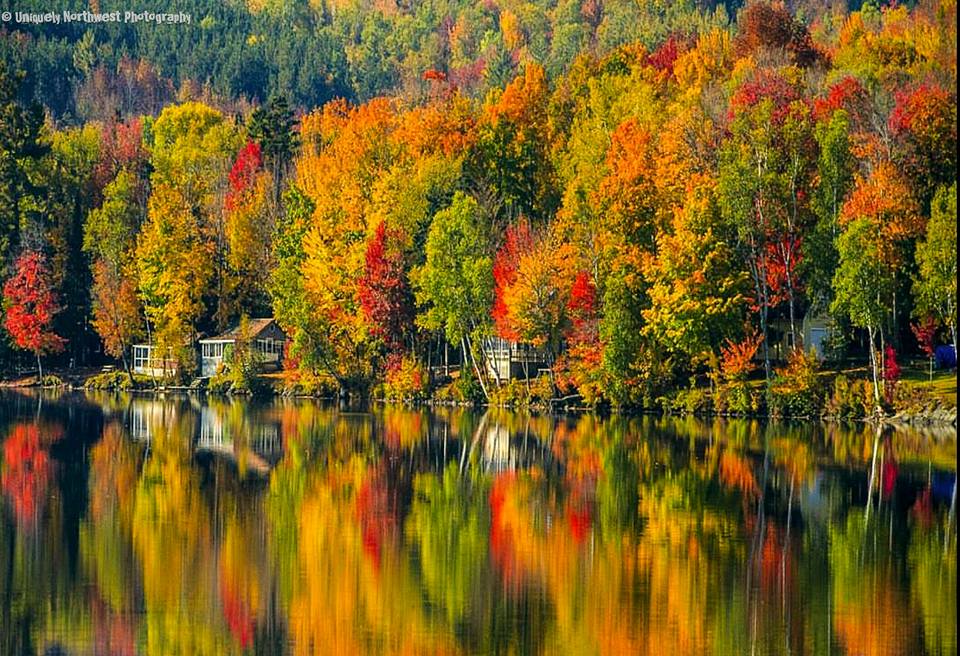 Photos Vibrant fall colors around the Pacific Northwest KOMO