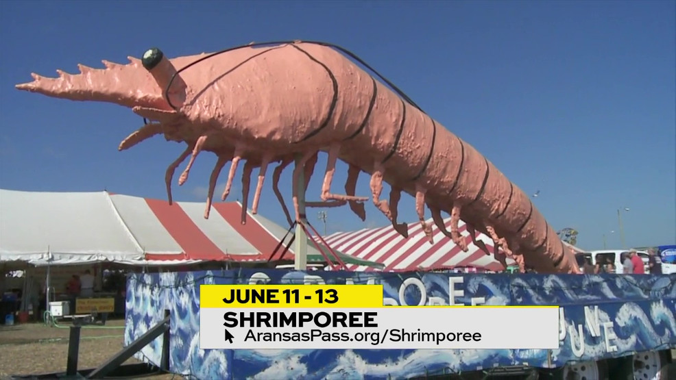 73rd Annual Shrimporee Watch Daytime