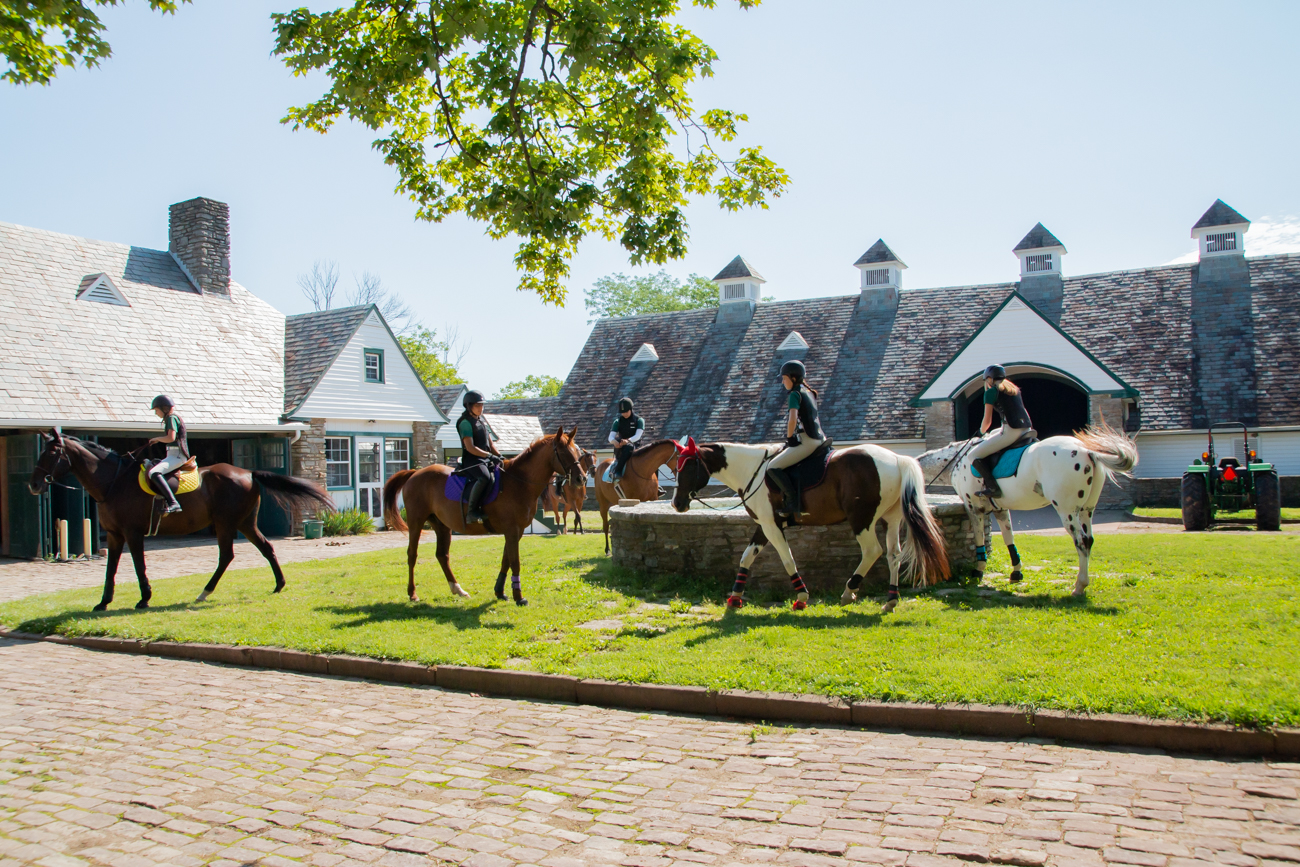 Greenacres Equine Center Lets You Take Their Horse to the Old Town Road