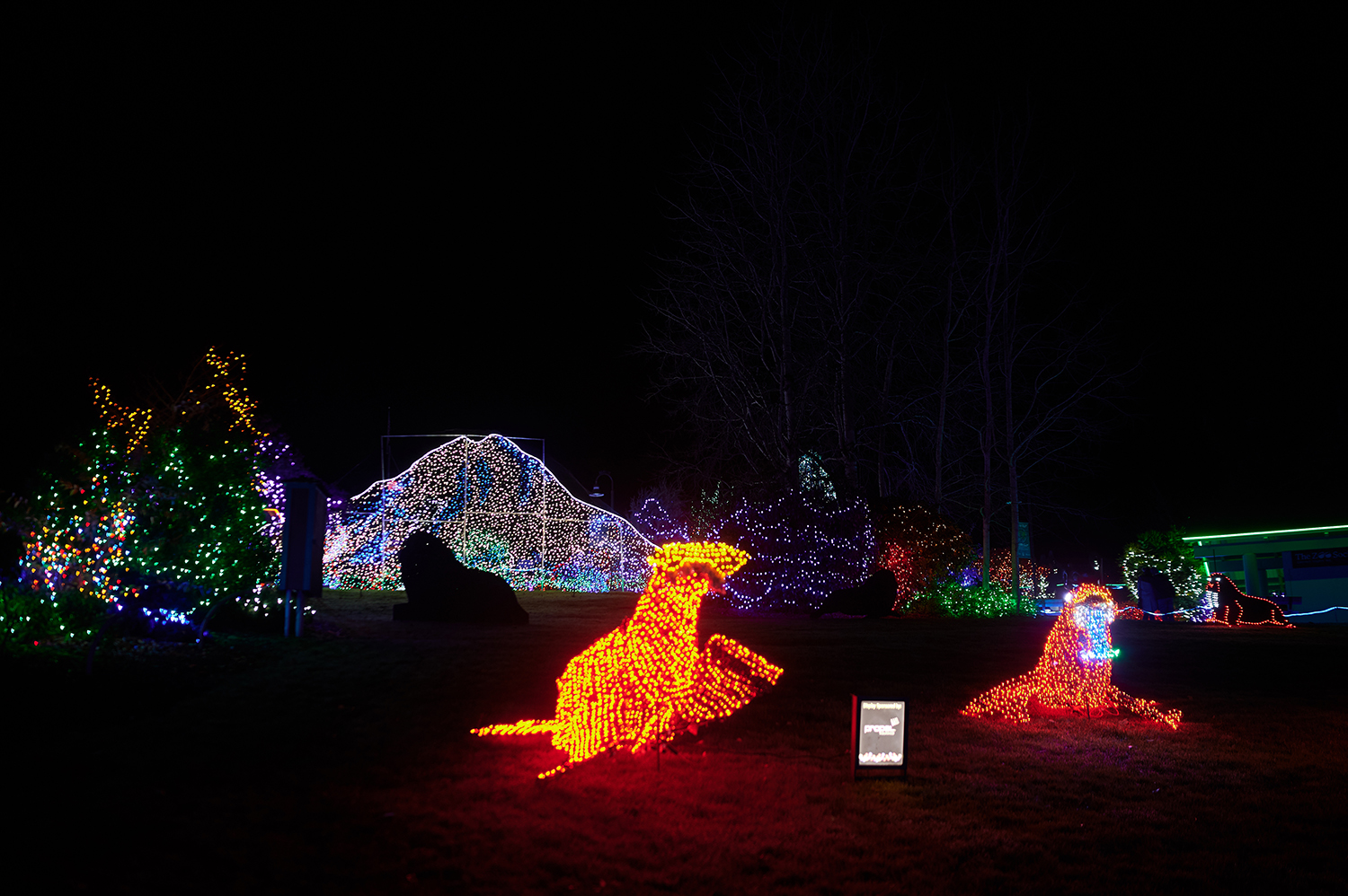 Photos A Walking Tour of ZooLights at Point Defiance Zoo & Aquarium
