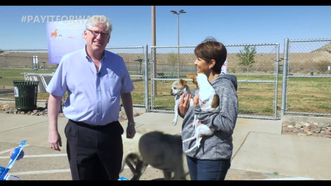 Celebrating Borderland animals for National Pet Day 