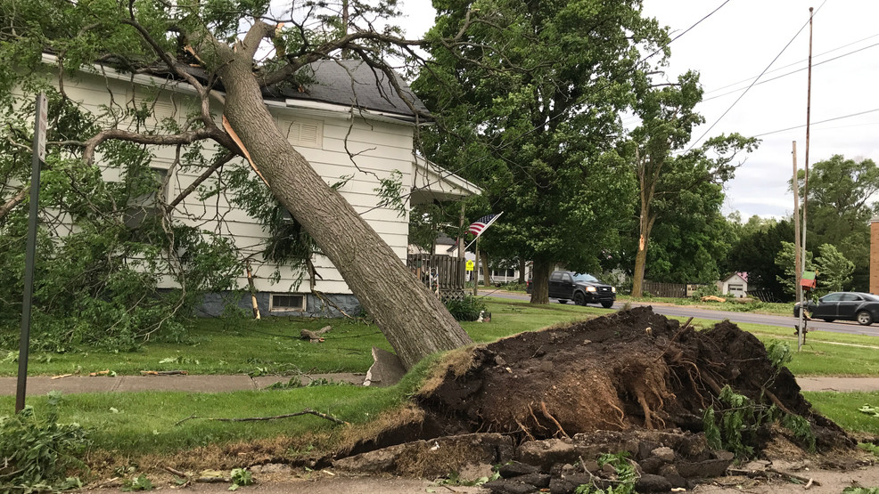 Storms topple trees, down power lines as Bronson, Michigan, takes brunt