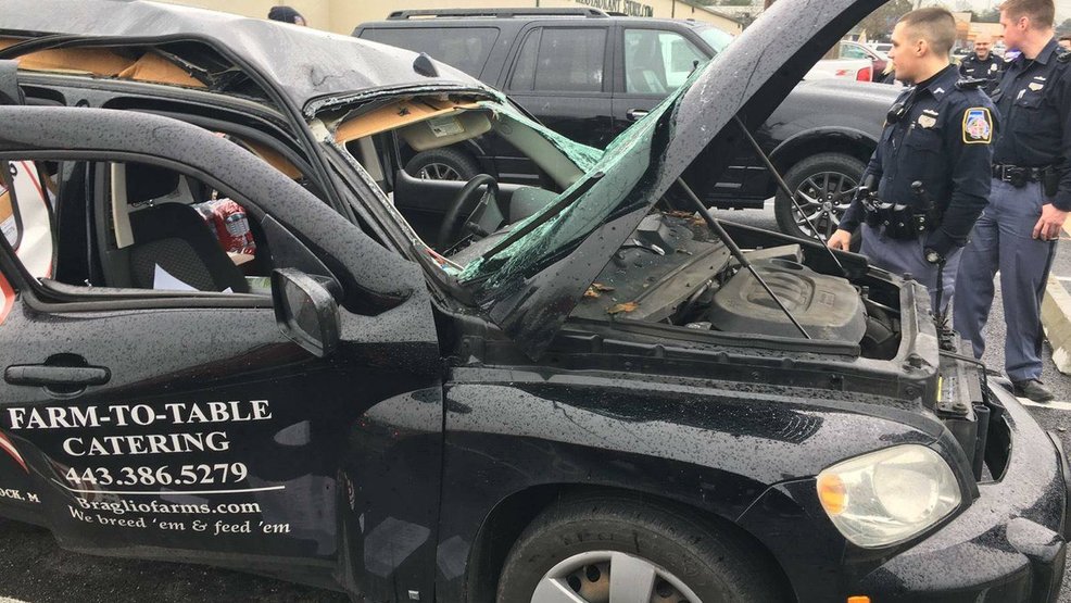 Body Spray Causes Car to "Explode" WBFF