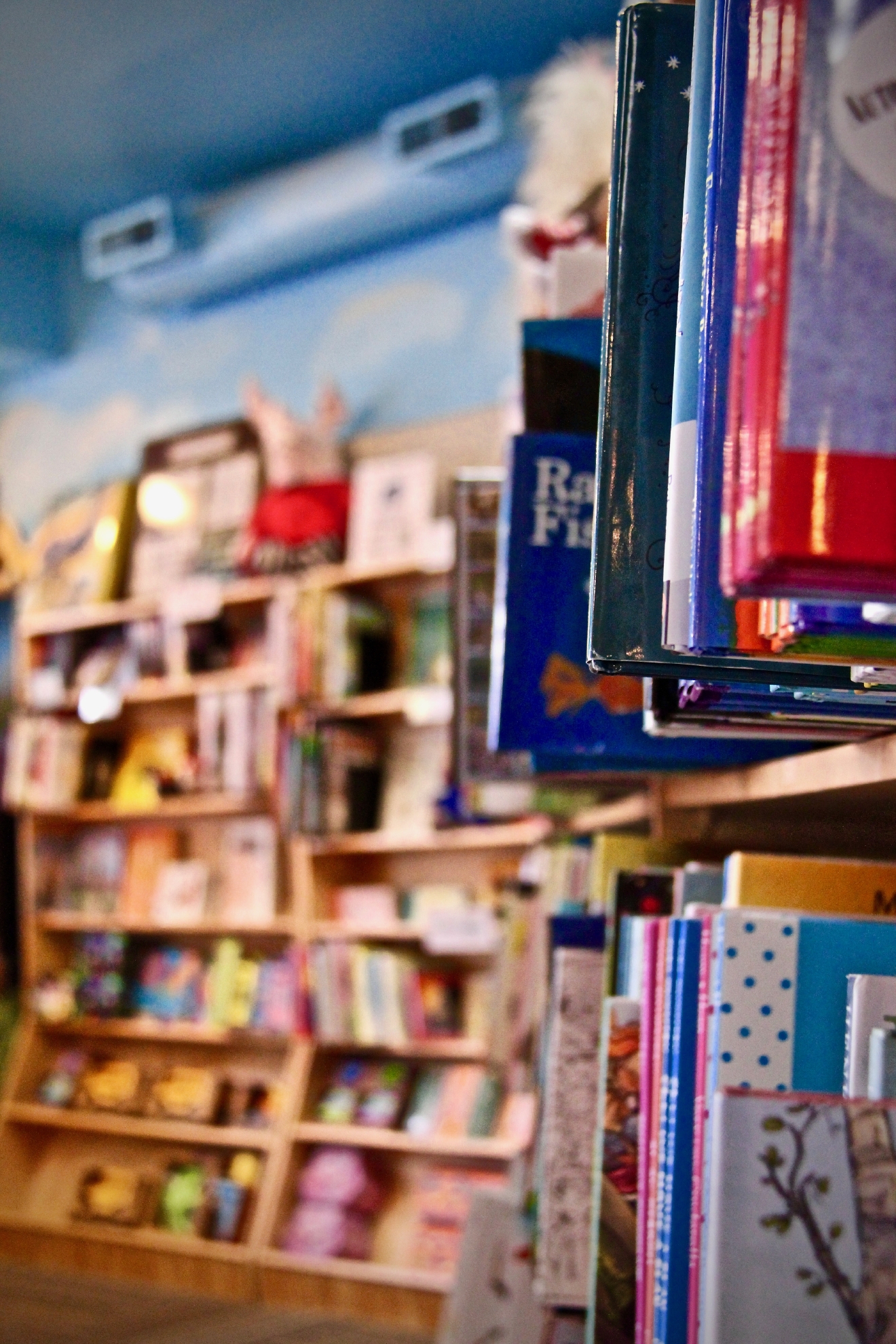 Let Your Inner Child Run Wild At Blue Manatee Bookstore Cincinnati