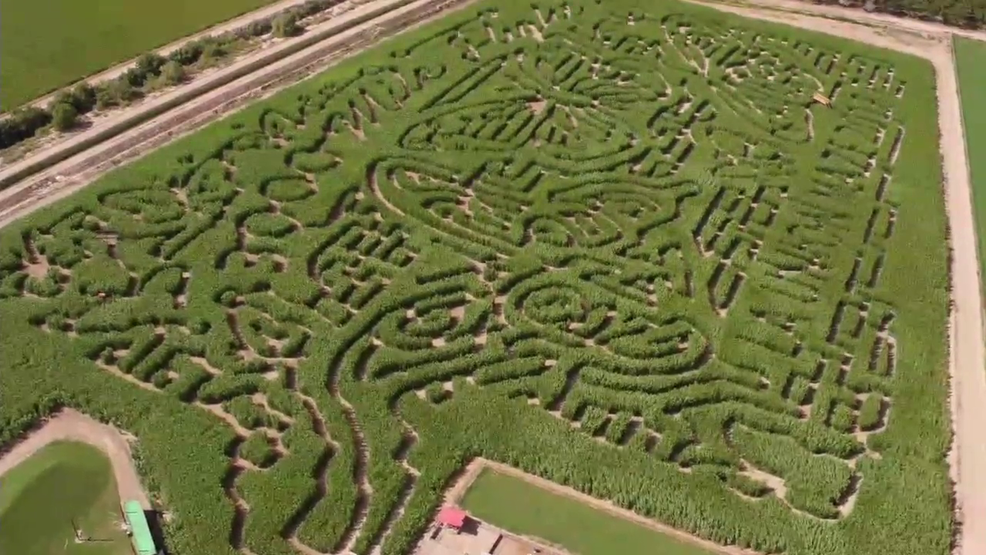 Drone Video Corn mazes in southern New Mexico KDBC