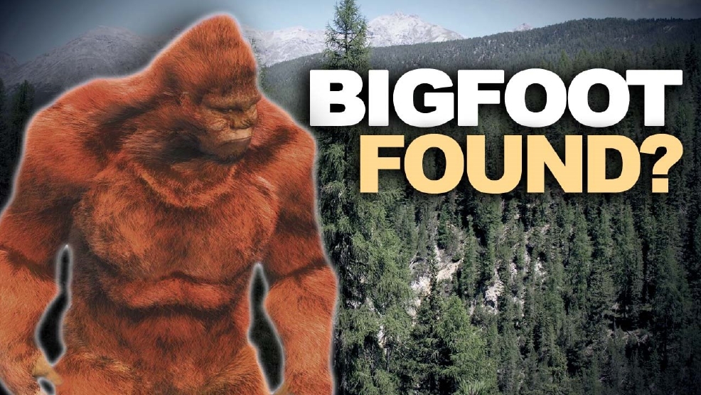 Some claim Bigfoot spotted on Michigan eagle nest camera WEYI