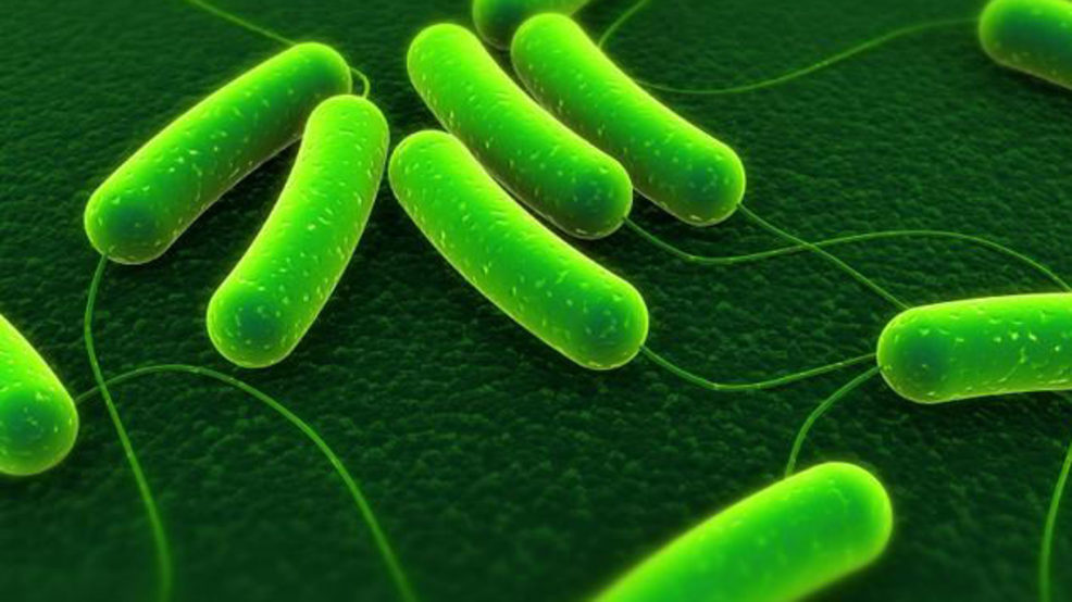 State Health Officials Launch Investigation Into E Coli