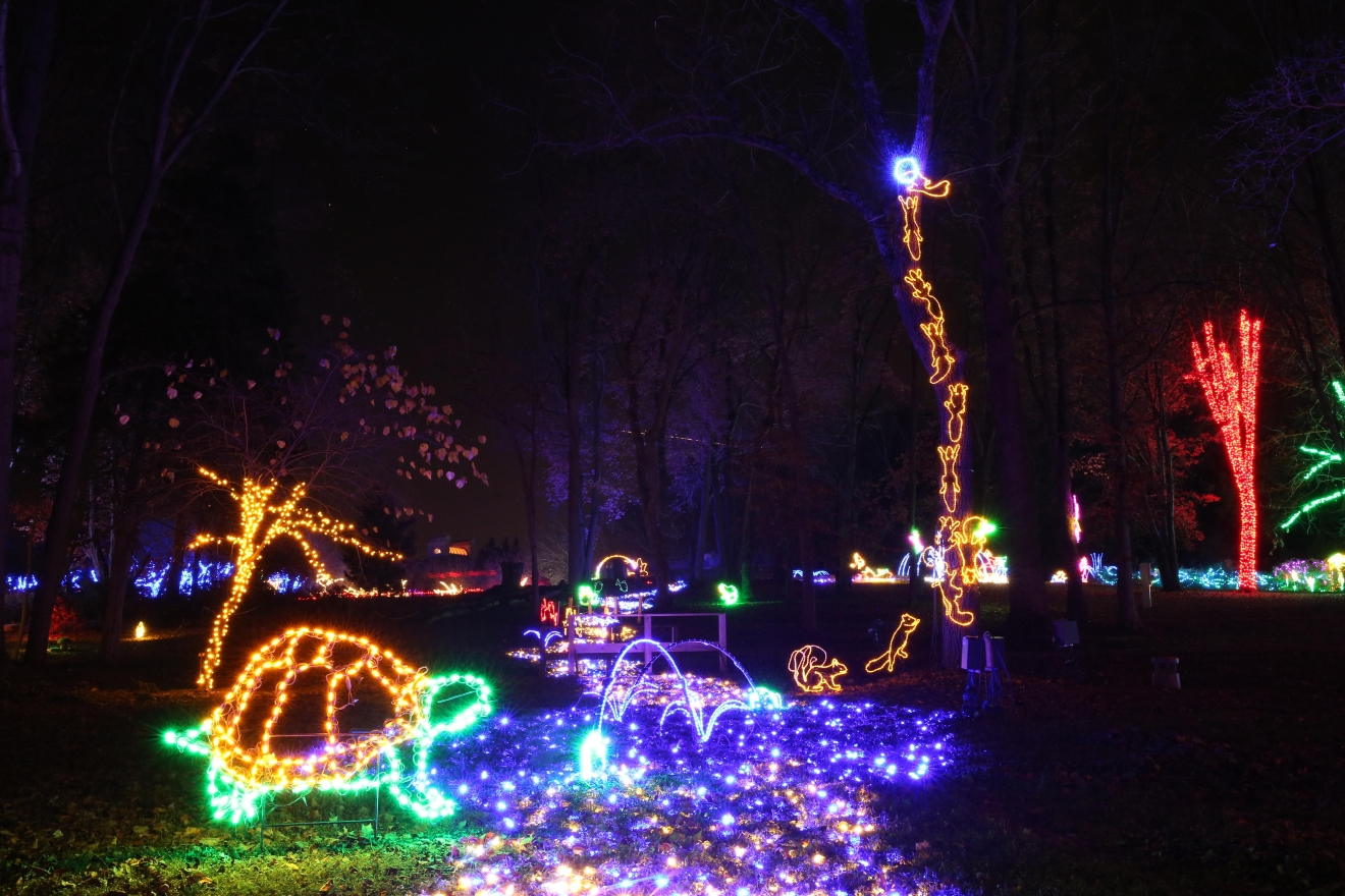 100 Botanical Gardens Lights Festival Of Lights Vandusen