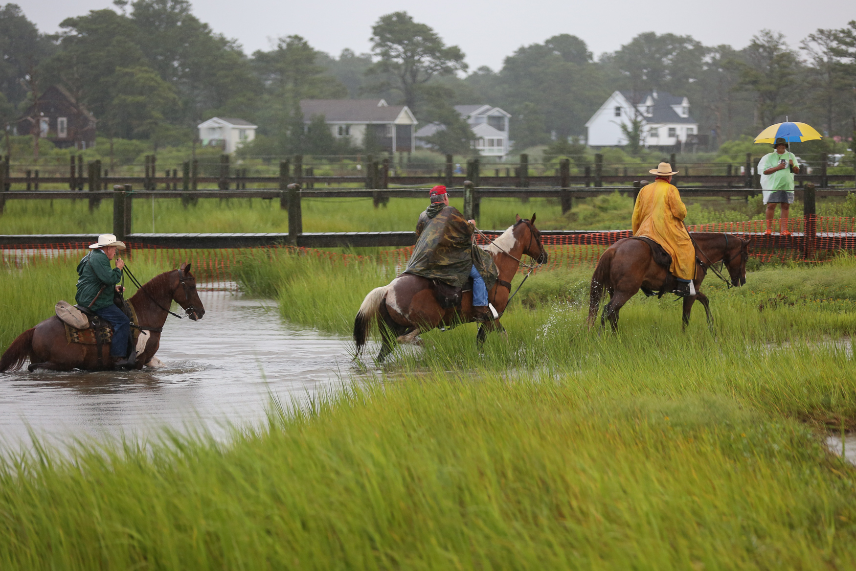 The 93rd annual Chincoteague Pony Swim brings a tradition to life DC