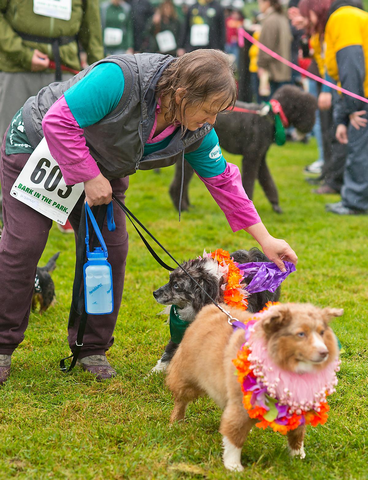 Greenhill Humane Society's Bark in the Park goes to the dogs KVAL