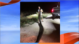17-foot snake caught in Miami-Dade County sets python program record