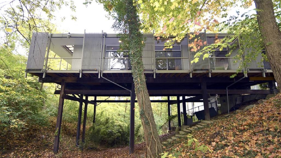 This Mid Century Modern Clifton House Is The Perfect Wooded Retreat This Mid Century Modern Clifton House Is The Perfect Wooded Retreat