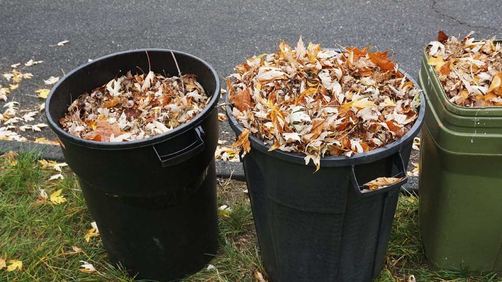 Macomb's 'No Sticker' Yard Waste Collection to begin Oct. 7 | KHQA