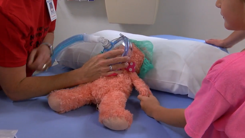 stuffed animal clinic